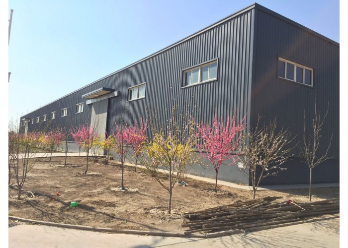 ����BB(�й�)�ɷ����޹�˾_����