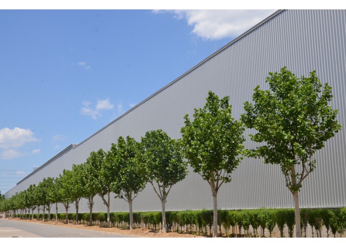 ����BB(�й�)�ɷ����޹�˾_����